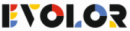 EVOLOR SRL