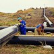 LICITATIE de 250 mil. euro pentru inlocuire conducte/extindere retele Delgaz Grid